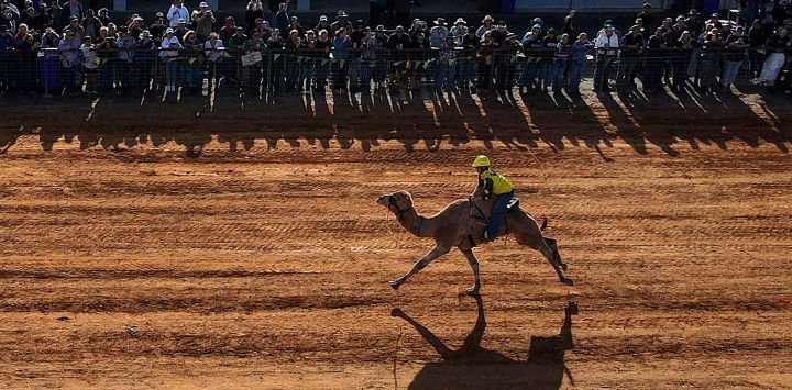 Un jinete de camellos compite durante la Copa Australasiática de Camellos de Marree, en la remota localidad de Marree, Australia Meridional. La Copa de Camellos es un evento muy apreciado en el interior de Australia que celebra las carreras de camellos, la herencia camellera afgana, la comunidad y la cultura. Los camellos fueron fundamentales para que los colonos pudieran desarrollar el interior de Australia hasta la llegada del ferrocarril.