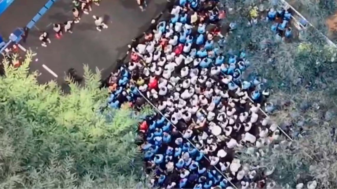 Miles de personas disfrutaron de correr por Palermo en este 9 de Julio