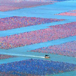 Esta fotografía aérea muestra una granja de ostras en Ningde, en la provincia oriental china de Fujian. | Foto:CN-STR / AFP