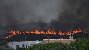 Incendios forestales en España 10072026