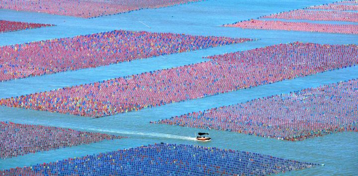 Esta fotografía aérea muestra una granja de ostras en Ningde, en la provincia oriental china de Fujian.