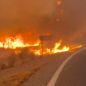 Tragedia en España: turistas calcinados en sus autos, desaparecidos y evacuados en el peor incendio en Andalucía