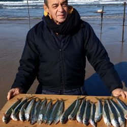 Los primeros reportes llegaron de las escolleras Norte y Varese, donde se lograron algunos ejemplares perdidos. Pero fue la Escollera Sur, catalogada por muchos como el mejor pesquero de pejerrey de la ciudad y uno de los principales de la provincia, la que arrojó los resultados más importantes.
