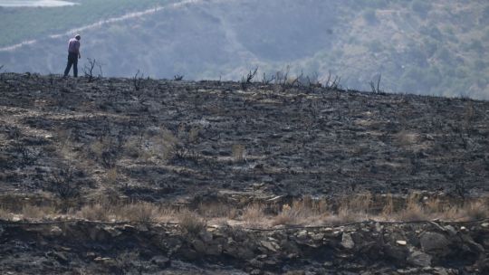 España: ceden los incendios que dejaron atroz reguero de muerte y destrucción en Andalucía