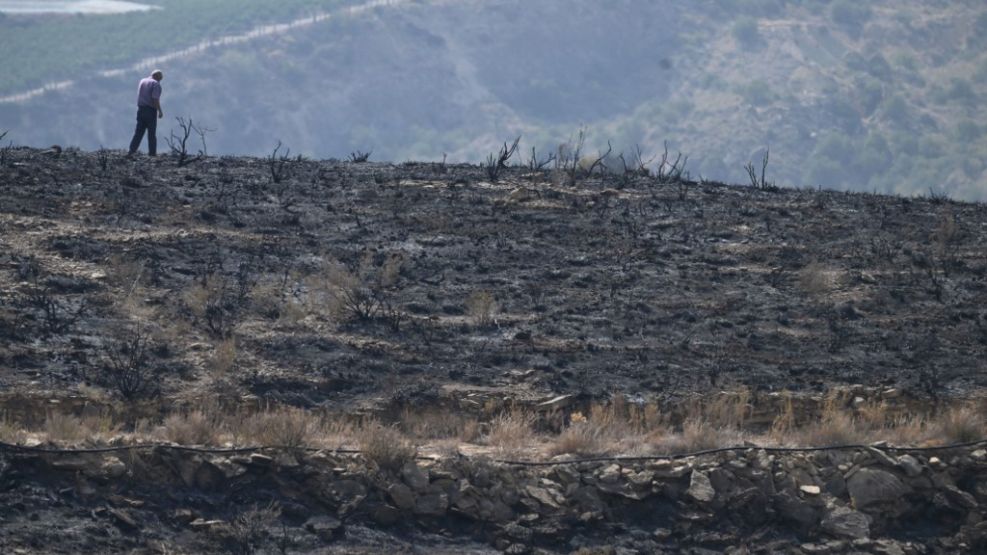 Ceden los incendios en España, que dejaron impactante reguero de muerte.