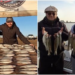 Con este cambio de escenario, las lagunas del partido de Junín vuelven a posicionarse entre los destinos más atractivos para la pesca del pejerrey en la provincia de Buenos Aires. Si las condiciones meteorológicas continúan estabilizándose, todo indica que el invierno seguirá ofreciendo jornadas muy entretenidas para quienes buscan disfrutar de una de las especies más emblemáticas de la pesca deportiva argentina.