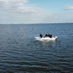 Con este cambio de escenario, las lagunas del partido de Junín vuelven a posicionarse entre los destinos más atractivos para la pesca del pejerrey en la provincia de Buenos Aires. Si las condiciones meteorológicas continúan estabilizándose, todo indica que el invierno seguirá ofreciendo jornadas muy entretenidas para quienes buscan disfrutar de una de las especies más emblemáticas de la pesca deportiva argentina.