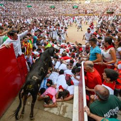 Una ternera salta or encima de los participantes en la plaza de toros mientras corren e intentan esquivarla tras el sexto encierro de las fiestas de San Fermín en Pamplona, al norte de España. Miles de personas asisten cada año a este festival de una semana de duración y a sus famosos encierros: seis toros son soltados a las 8:00 de la mañana para correr desde su corral hasta la plaza de toros por las estrechas calles del casco antiguo, recorriendo una distancia de 850 metros, mientras los corredores que van delante intentan mantenerse cerca de los toros sin caerse ni ser corneados. | Foto:ANDER GILLENEA / AFP
