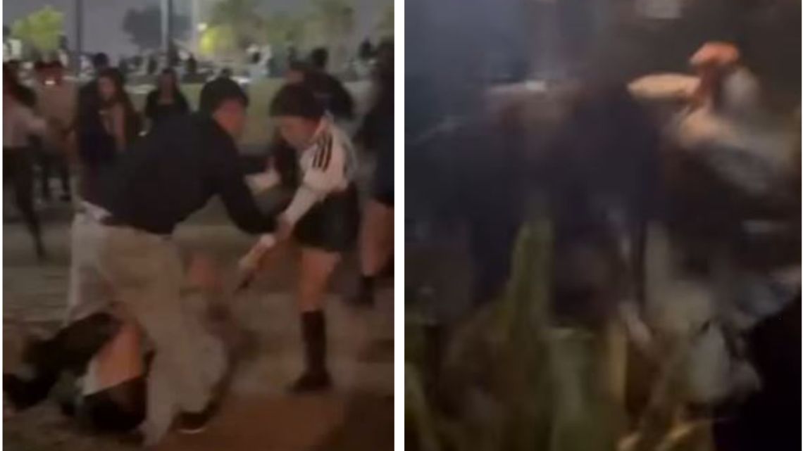 Una joven está en terapia intensiva tras sufrir una golpiza en la Costanera y chocar contra un camión