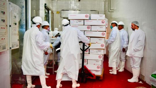 Chaco exportó un nuevo cargamento de carne caprina a Arabia Saudita