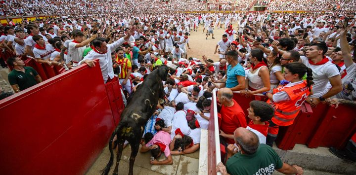 Una ternera salta or encima de los participantes en la plaza de toros mientras corren e intentan esquivarla tras el sexto encierro de las fiestas de San Fermín en Pamplona, al norte de España. Miles de personas asisten cada año a este festival de una semana de duración y a sus famosos encierros: seis toros son soltados a las 8:00 de la mañana para correr desde su corral hasta la plaza de toros por las estrechas calles del casco antiguo, recorriendo una distancia de 850 metros, mientras los corredores que van delante intentan mantenerse cerca de los toros sin caerse ni ser corneados.