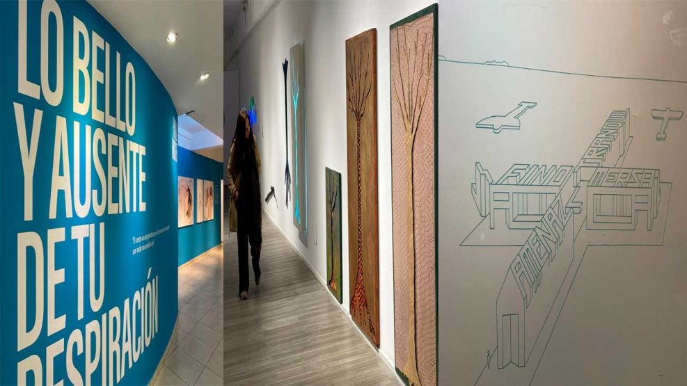 Centro Cultural Rojas 13072026