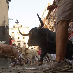 Los participantes corren delante de los toros durante el primer encierro de las fiestas de San Fermín en Pamplona, norte de España. Miles de personas asisten cada año a las fiestas, que duran una semana, y a sus famosos encierros, en los que seis toros son liberados a las 8:00 de la mañana para correr desde su corral hasta la plaza de toros por las estrechas calles del casco antiguo, recorriendo una distancia de 850 metros. Los corredores que van delante intentan mantenerse cerca de los toros sin caerse ni ser corneados. | Foto:JORGE GUERRERO / AFP