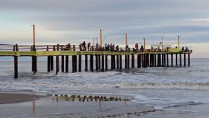 1407_pesca