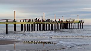 1407_pesca