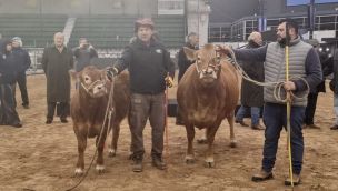 Tini tini y su ternero De Paul, los primeros bovinos que llegaron a la expo Palermo 2026. 