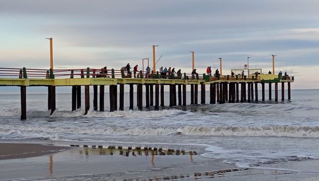 1407_pesca
