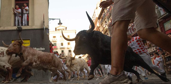 Los participantes corren delante de los toros durante el primer encierro de las fiestas de San Fermín en Pamplona, norte de España. Miles de personas asisten cada año a las fiestas, que duran una semana, y a sus famosos encierros, en los que seis toros son liberados a las 8:00 de la mañana para correr desde su corral hasta la plaza de toros por las estrechas calles del casco antiguo, recorriendo una distancia de 850 metros. Los corredores que van delante intentan mantenerse cerca de los toros sin caerse ni ser corneados.