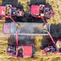 Vista aérea tomada con un dron de máquinas agrícolas cargando trigo recién cosechado en un camión en una granja, en la ciudad de Yongji, en la provincia de Shanxi, en el norte de China. China ha registrado este año otra cosecha de cereales de verano excepcional, con una producción total que ha superado, por primera vez, los 150 millones de toneladas, según datos oficiales. | Foto:Xinhua/Xue Jun