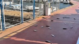 1507_pesca
