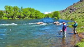 Extender la temporada y permitir otra vez el fieltro: los cambios que analizan para la pesca en el sur