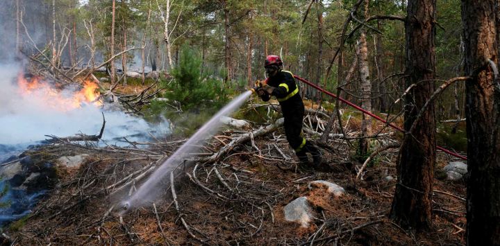 Un bombero trabaja en la extinción de un incendio en el bosque de Fontainebleau, en Noisy-sur-Ecole, en Francia.