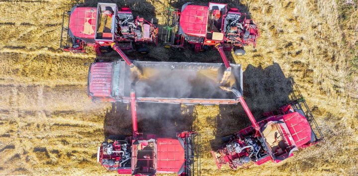 Vista aérea tomada con un dron de máquinas agrícolas cargando trigo recién cosechado en un camión en una granja, en la ciudad de Yongji, en la provincia de Shanxi, en el norte de China. China ha registrado este año otra cosecha de cereales de verano excepcional, con una producción total que ha superado, por primera vez, los 150 millones de toneladas, según datos oficiales.