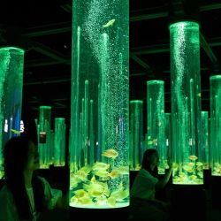 Personas observan peces en tanques iluminados durante una exposición de arte en el Acuario Lotte World, en Seúl, República de Corea. | Foto:Xinhua/Jun Hyosang