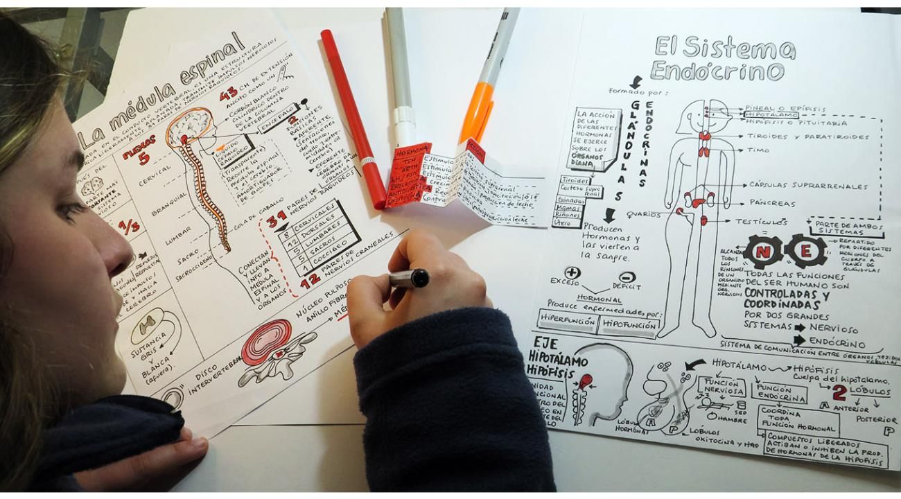 Pensamiento Visual: cuando la velocidad de la información supera la velocidad del cerebro