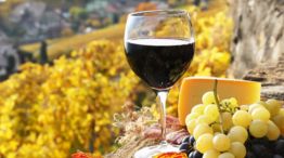 Crisis en el sector vitivinícola: ¿porqué la botella de vino vale más que su contenido?