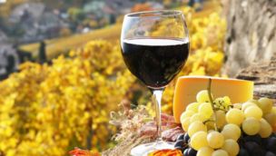 Crisis en el sector vitivinícola: ¿porqué la botella de vino vale más que su contenido?