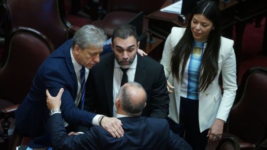 Encuesta: mientras el Senado debatía la Ley de Propiedad Privada, el 57% de los argentinos reclama un cambio de rumbo