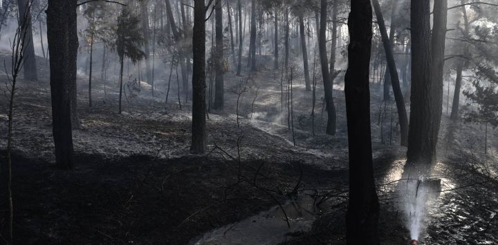 Esta fotografía muestra el humo que se eleva de un incendio forestal en Liti, un pueblo al norte de Tesalónica. Un hombre fue hallado muerto en el voraz incendio forestal que se desató a 15 km (9 millas) de Tesalónica, en el norte de Grecia, mientras que una mujer resultó herida, según informó el servicio de bomberos.