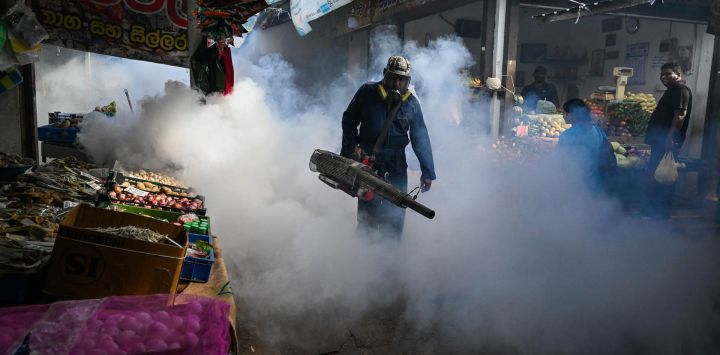 Un trabajador municipal fumiga una zona de mercado durante una campaña de prevención del dengue en Colombo. Sri Lanka está intensificando una campaña respaldada por el ejército para contener la propagación del dengue, transmitido por mosquitos, según declaró un alto funcionario, mientras que el número de fallecidos ascendió a 49 desde principios de año.