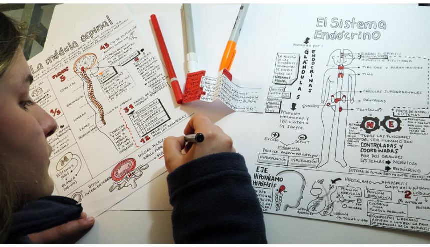 Pensamiento Visual: cuando la velocidad de la información supera la velocidad del cerebro