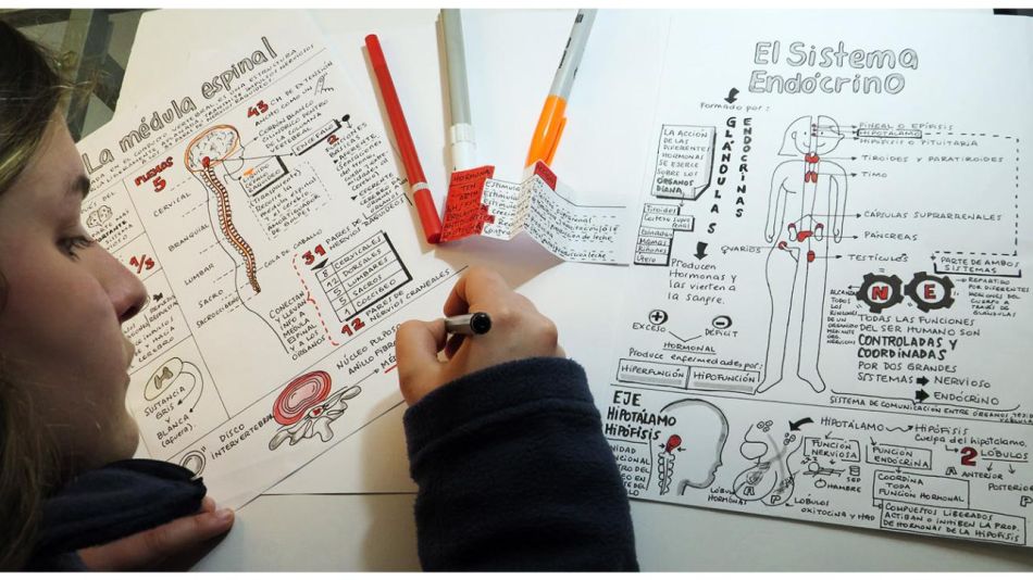Pensamiento Visual: cuando la velocidad de la información supera la velocidad del cerebro