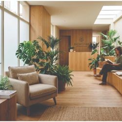 Vivir entre plantas: la ciencia que está rediseñando nuestros hogares y oficinas | Foto:CONTENTNOTICIAS