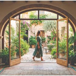 Vivir entre plantas: la ciencia que está rediseñando nuestros hogares y oficinas | Foto:CONTENTNOTICIAS