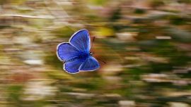 El efecto mariposa de ChatGPT
