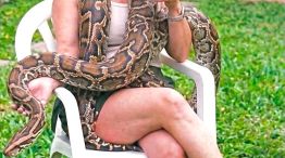 Buscan a una boa perdida en Colegiales 18072026