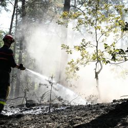 Un bombero francés trabaja durante un incendio en el bosque de Fontainebleau, en Noisy-sur-École, en la región de Île-de-France (París). | Foto:LOU BENOIST / AFP