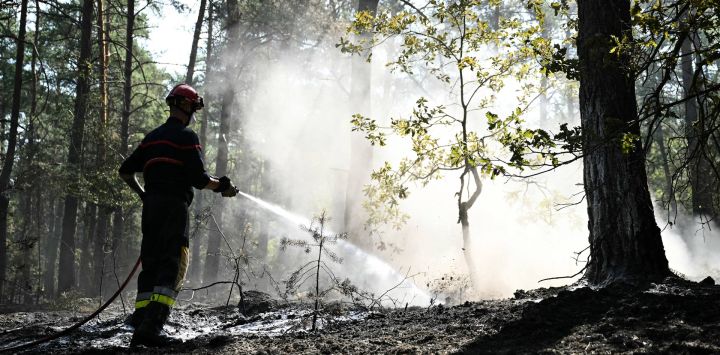 Un bombero francés trabaja durante un incendio en el bosque de Fontainebleau, en Noisy-sur-École, en la región de Île-de-France (París).