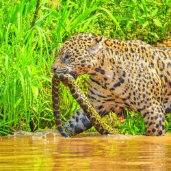 Un agosto a pura aventura y pesca en tu revista Weekend.