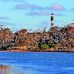 Un agosto a pura aventura y pesca en tu revista Weekend.