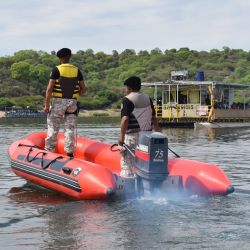 Los recientes procedimientos evidencian un endurecimiento de los controles contra la pesca ilegal, la caza furtiva y el comercio clandestino de fauna silvestre. 