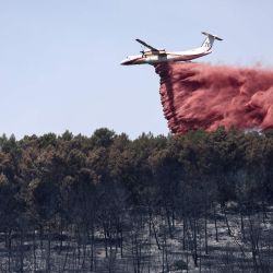 Un avión Dash 8-Q400MR lanza retardante de fuego para frenar la propagación de un incendio forestal en Taradeau, en el departamento de Var, en la región de Provenza-Alpes-Costa Azul, al sureste de Francia. | Foto:Thibaud Moritz / AFP