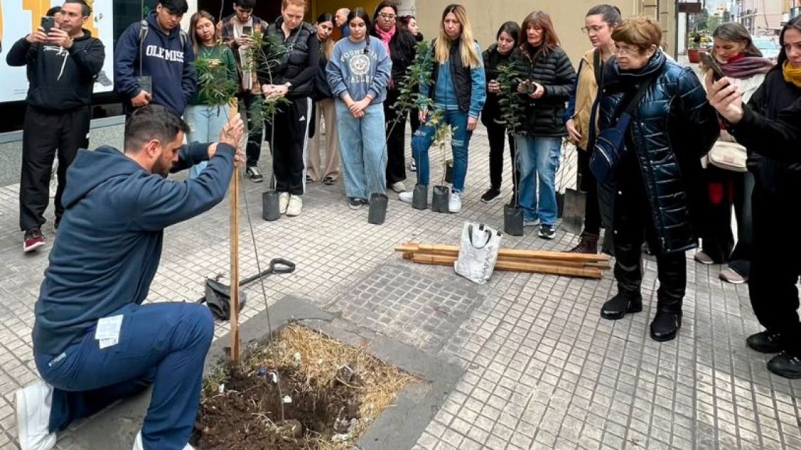 Reservas con propósito: la iniciativa de Azur hotel para reforestar el centro
