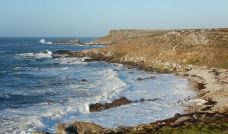Islas Malvinas