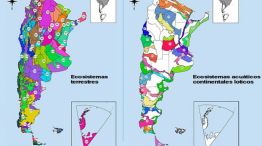 2007_MAPEO
