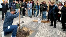 forestando cordoba azur 